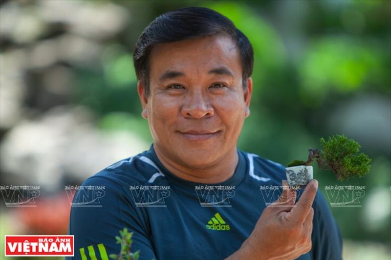 Hinh anh mot chau mai chieu thuy bonsai dang co thu dang bay